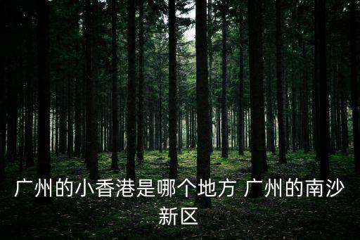 廣州的小香港是哪個地方 廣州的南沙新區(qū)