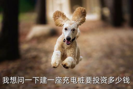 廣州充電樁投資價值，我想問一下建一座充電樁要投資多少錢