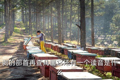 剝的筆順，剝的筆畫順序怎么寫