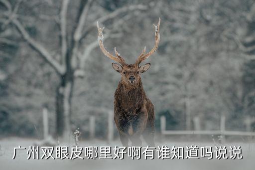 廣州雙眼皮百度貼吧，廣州雙眼皮 讓大家表達(dá)一下自己的觀點(diǎn)啊