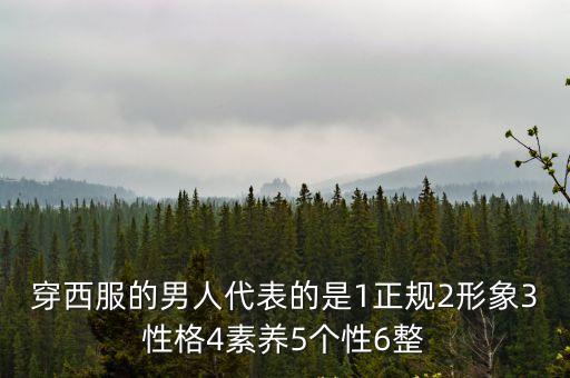 穿西服的男人代表的是1正規(guī)2形象3性格4素養(yǎng)5個性6整