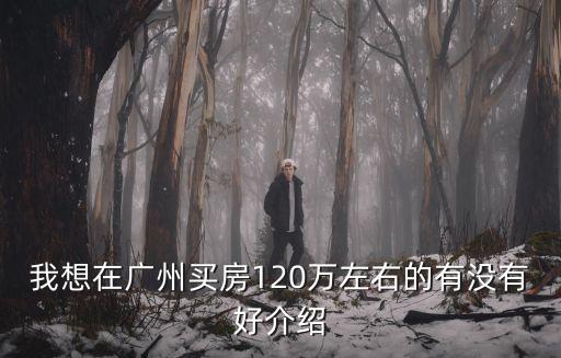 我想在廣州買房120萬左右的有沒有好介紹