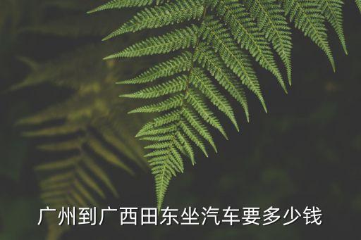 廣州到廣西田東坐汽車要多少錢