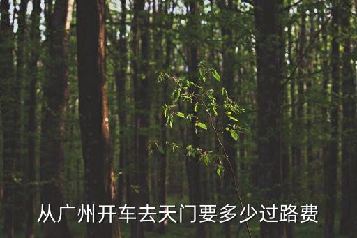 廣州自駕游貴州高速費用，開車從奉節到廣州有多少公里要多少過路費