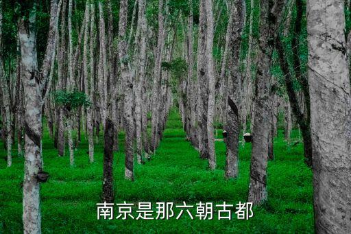 南京古城，南京被稱為什么古都