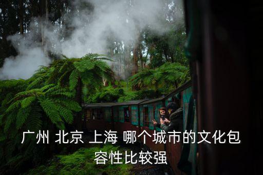 廣州 北京 上海 哪個城市的文化包容性比較強
