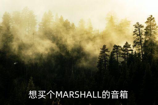 廣州bose和marshall音箱價(jià)格，請(qǐng)問(wèn)正品Marshall吉他音箱多少錢(qián)