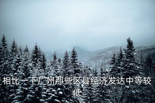 相比一下廣州那些區(qū)縣經濟發(fā)達中等較低
