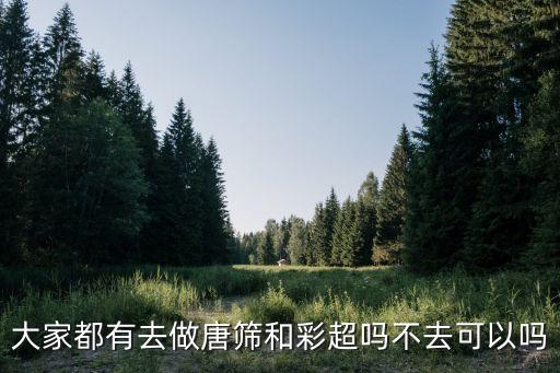 大家都有去做唐篩和彩超嗎不去可以嗎