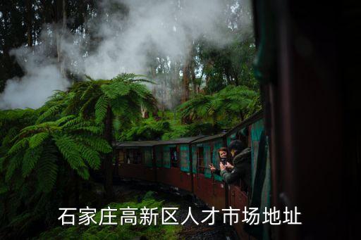 石家莊高新區，石家莊高新區人才市場地址