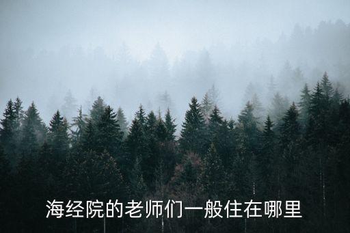 廣州平洲二中教師宿舍，海經院的老師們一般住在哪里