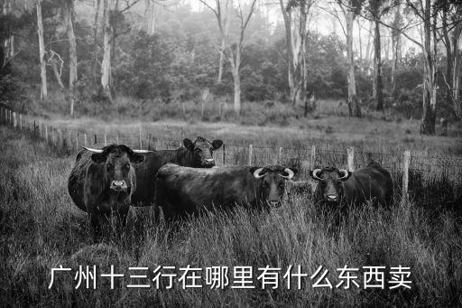 廣州十三行在哪里有什么東西賣