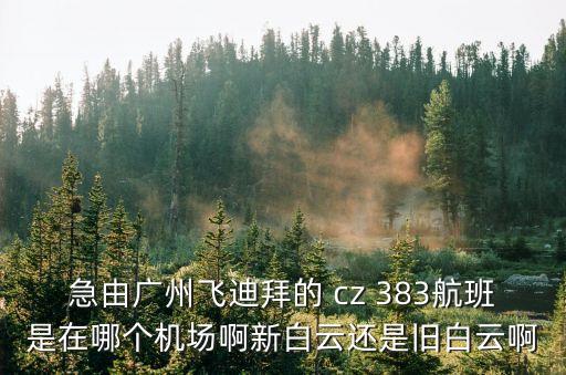 廣州到迪拜的飛機(jī)場(chǎng)，迪拜有幾個(gè)機(jī)場(chǎng)有哪些直飛的航班