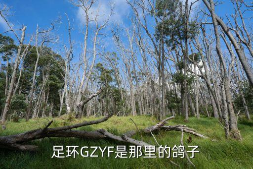 廣州大排查查出40例，一個(gè)長(zhǎng)5毫米的精密零件 畫在圖紙上40毫米 這幅圖的比例尺是多少