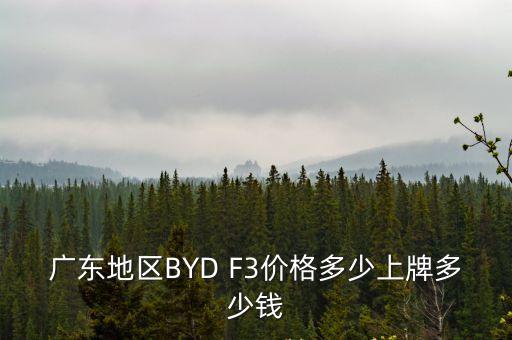 廣東地區(qū)BYD F3價格多少上牌多少錢