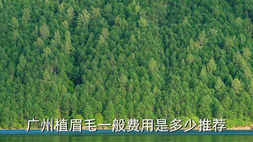 廣州植眉毛一般費用是多少推薦