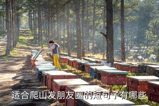 適合爬山發(fā)朋友圈的短句子有哪些