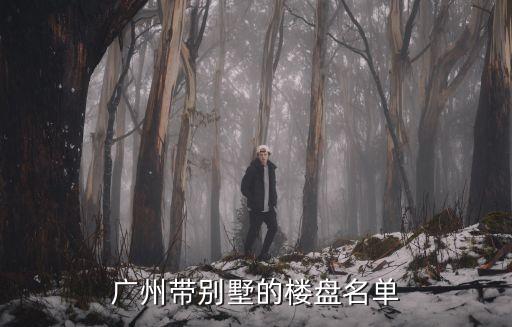 廣州番禺樓房別墅，廣州番禺大石太子花園的二手別墅好不好