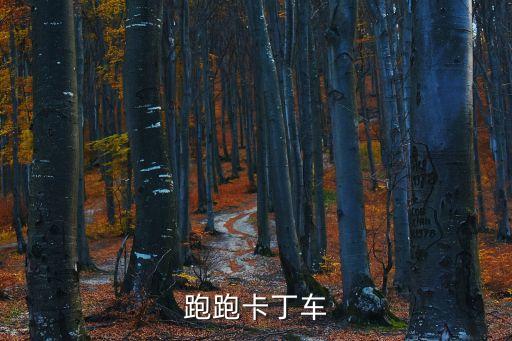 廣州馬拉松計(jì)時(shí)毯事件，跑跑卡丁車