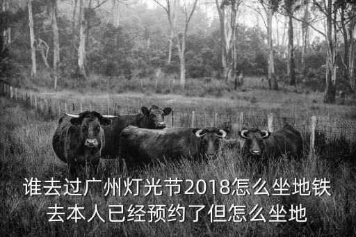廣州燈光節一個預約可以兩人進嗎，在廣州哪些地方可以購買到皮艇