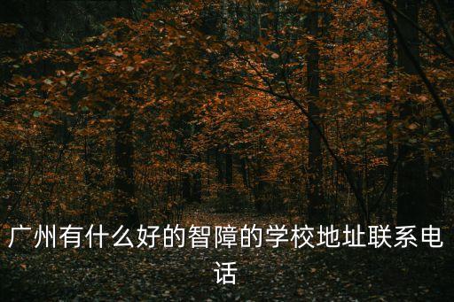 廣州盲童學校位置，廣州有什么好的智障的學校地址聯系電話