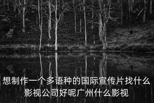 想制作一個(gè)多語種的國際宣傳片找什么影視公司好呢廣州什么影視