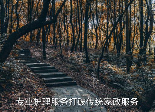 專業護理服務打破傳統家政服務