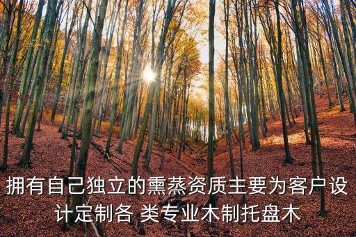 擁有自己獨立的熏蒸資質(zhì)主要為客戶設計定制各 類專業(yè)木制托盤木