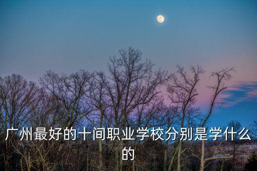 廣州最好的十間職業學校分別是學什么的
