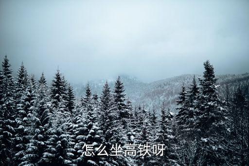 動車怎么坐，怎么坐高鐵呀