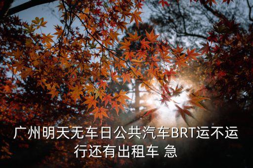 廣州明天無車日公共汽車BRT運不運行還有出租車 急