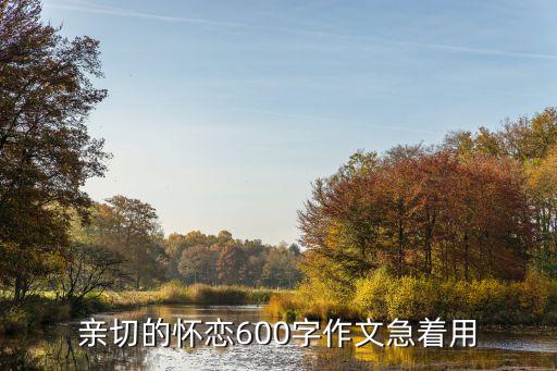 親切的懷戀600字作文急著用