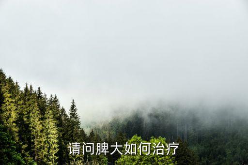 脾大的治療方法，脾大的治療方法
