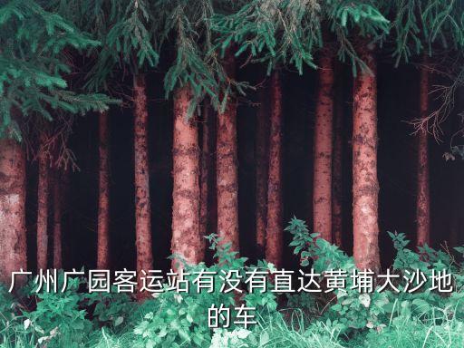 廣州廣園客運站到黃埔大沙，從廣州廣園客運站到廣州大沙地坐幾路車去