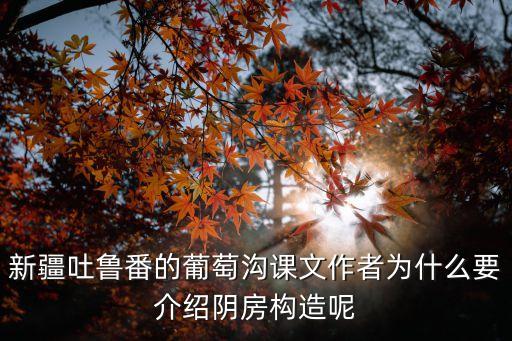 葡萄溝課文，新疆吐魯番的葡萄溝課文作者為什么要介紹陰房構造呢