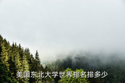 東北大學(xué)世界排名，美國東北大學(xué)世界排名排多少
