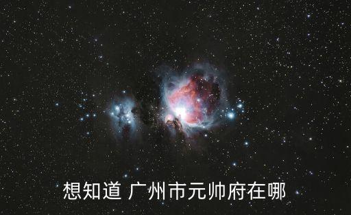 想知道 廣州市元帥府在哪