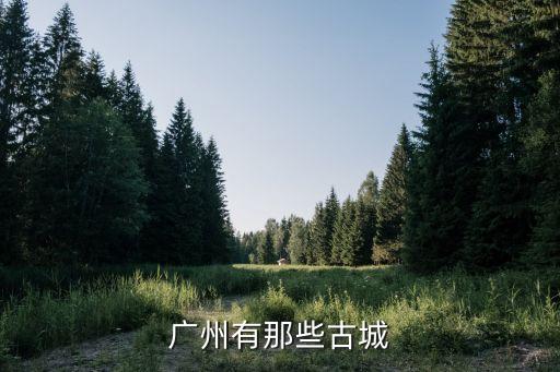 廣州的古色古城，廣州哪里有古城古鎮(zhèn)