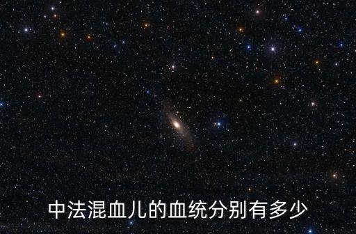 中法混血兒的血統分別有多少