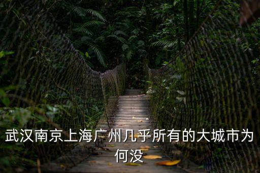武漢南京上海廣州幾乎所有的大城市為何沒