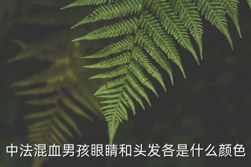 中法混血男孩眼睛和頭發各是什么顏色