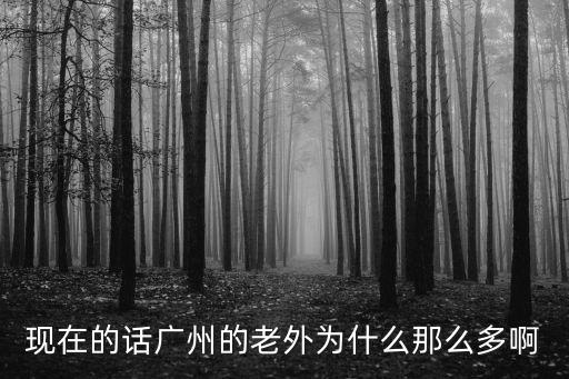 現在的話廣州的老外為什么那么多啊
