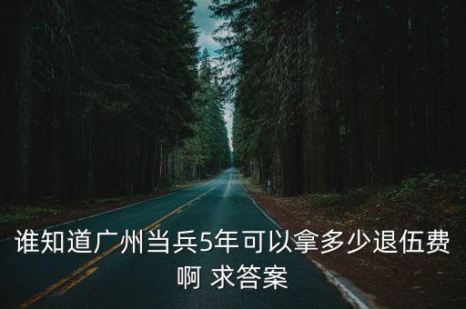 誰知道廣州當兵5年可以拿多少退伍費啊 求答案