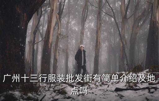 廣州十三行服裝批發街有簡單介紹及地點嗎