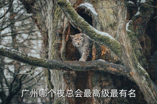 廣州獵德最高檔會所，廣州獵德村那里有沒有大間沐足場所