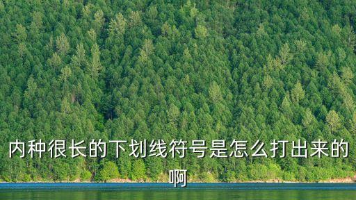 內種很長的下劃線符號是怎么打出來的啊