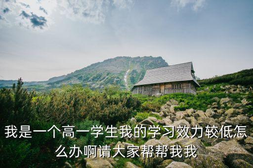 我是一個高一學生我的學習效力較低怎么辦啊請大家幫幫我我