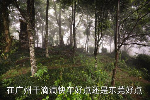廣州和東莞哪里送外賣好，東莞送外賣好做
