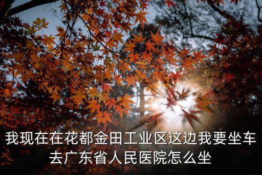 我現(xiàn)在在花都金田工業(yè)區(qū)這邊我要坐車去廣東省人民醫(yī)院怎么坐