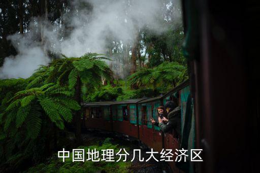 經(jīng)濟(jì)區(qū)劃，新疆經(jīng)濟(jì)區(qū)域劃分是怎樣的